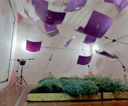 1652188483395 B 0115 Newsfeed Purple 1652188483395 B 0115 Newsfeed Purple