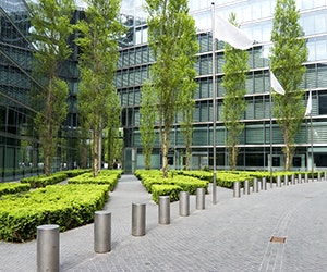 1652188486614 B 0115 Newsfeed Walk