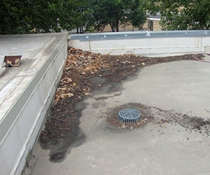 1652189489608 1draindebris Web