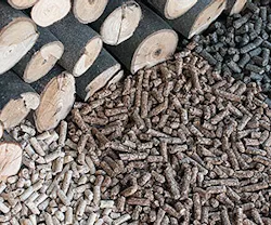 1652189500675 B 0114 Gf1 1652189500675 B 0114 Gf1