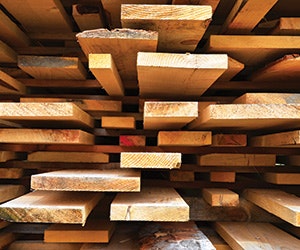 1652190453515 B 0213 Sustainability1