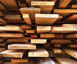 1652190453515 B 0213 Sustainability1 1652190453515 B 0213 Sustainability1