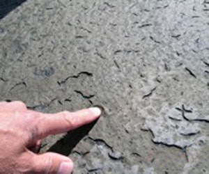 1652191547277 B 0312 Rn Asphaltvscoal1