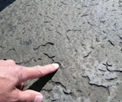 1652191547277 B 0312 Rn Asphaltvscoal1 1652191547277 B 0312 Rn Asphaltvscoal1