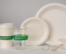 1652193164163 Bpi Certified Green Alternative For Paper And Plastic Cups Plates Staples B 1652193164163 Bpi Certified Green Alternative For Paper And Plastic Cups Plates Staples B