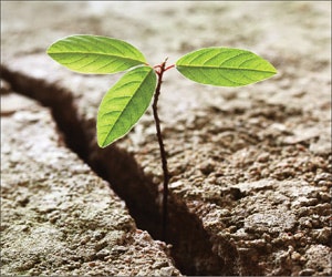 1652193611307 B 0311 Newsworthy7