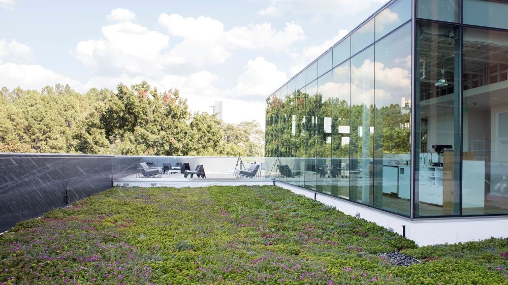 1652284963698 Hq Green Roof