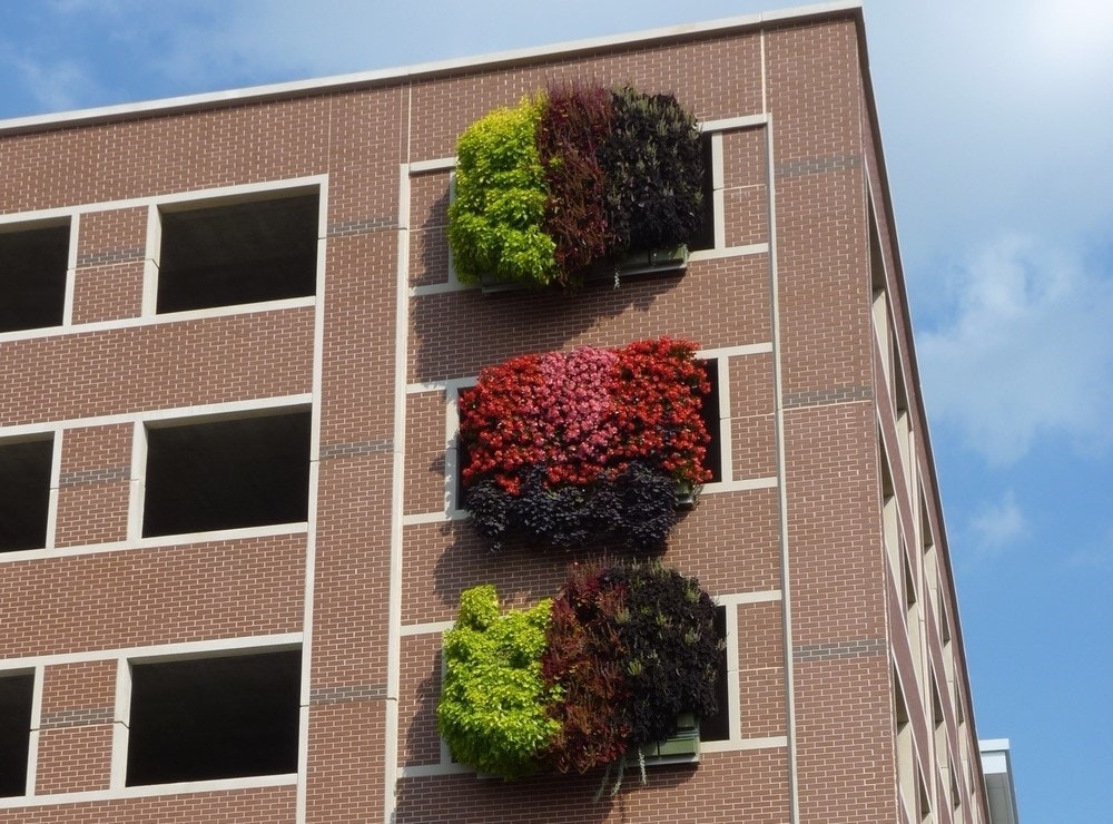 1652286968165 Livewall1