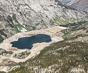 1652312979579 Cadrought 218581006