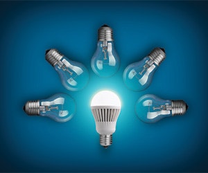 1652312985880 B 0916 Tem Light Bulbs