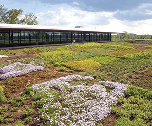 1652313774631 B 0915 Gf Greenroof Chicago