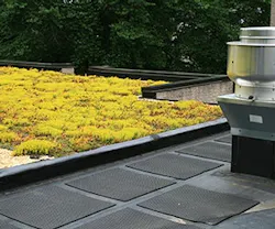1652313961734 B 0415 Newsfeed Greenroof 1652313961734 B 0415 Newsfeed Greenroof