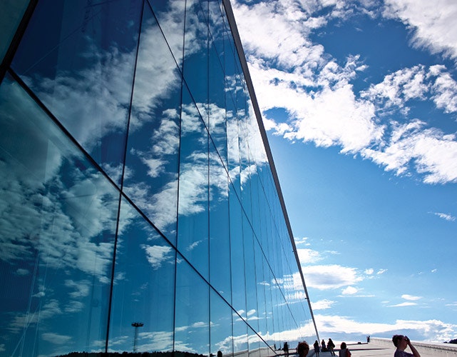 1652314472372 B 1114 Gfnewsworthy Notallbirds