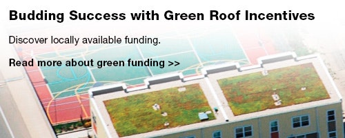1652314854620 Gf 0528 Lead Green Roof Incentives