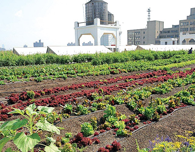 1652314963449 B 0514 Nymetro1