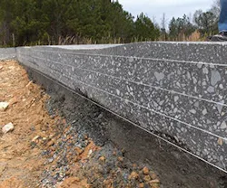 1652315820824 B 0813 Sustainability1 1652315820824 B 0813 Sustainability1