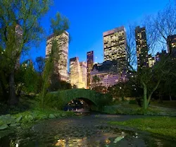 1652316181625 Shutterstock 121208248 1652316181625 Shutterstock 121208248