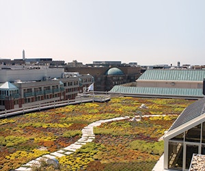 1652316202365 B 0413 Greenroofs1