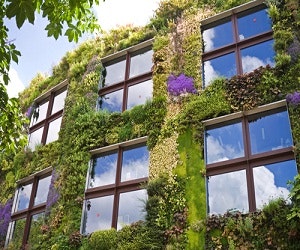 1652319088121 Greenfacade