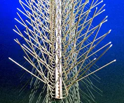 1652319352927 Nixalite Money Saving Products 0611 1652319352927 Nixalite Money Saving Products 0611