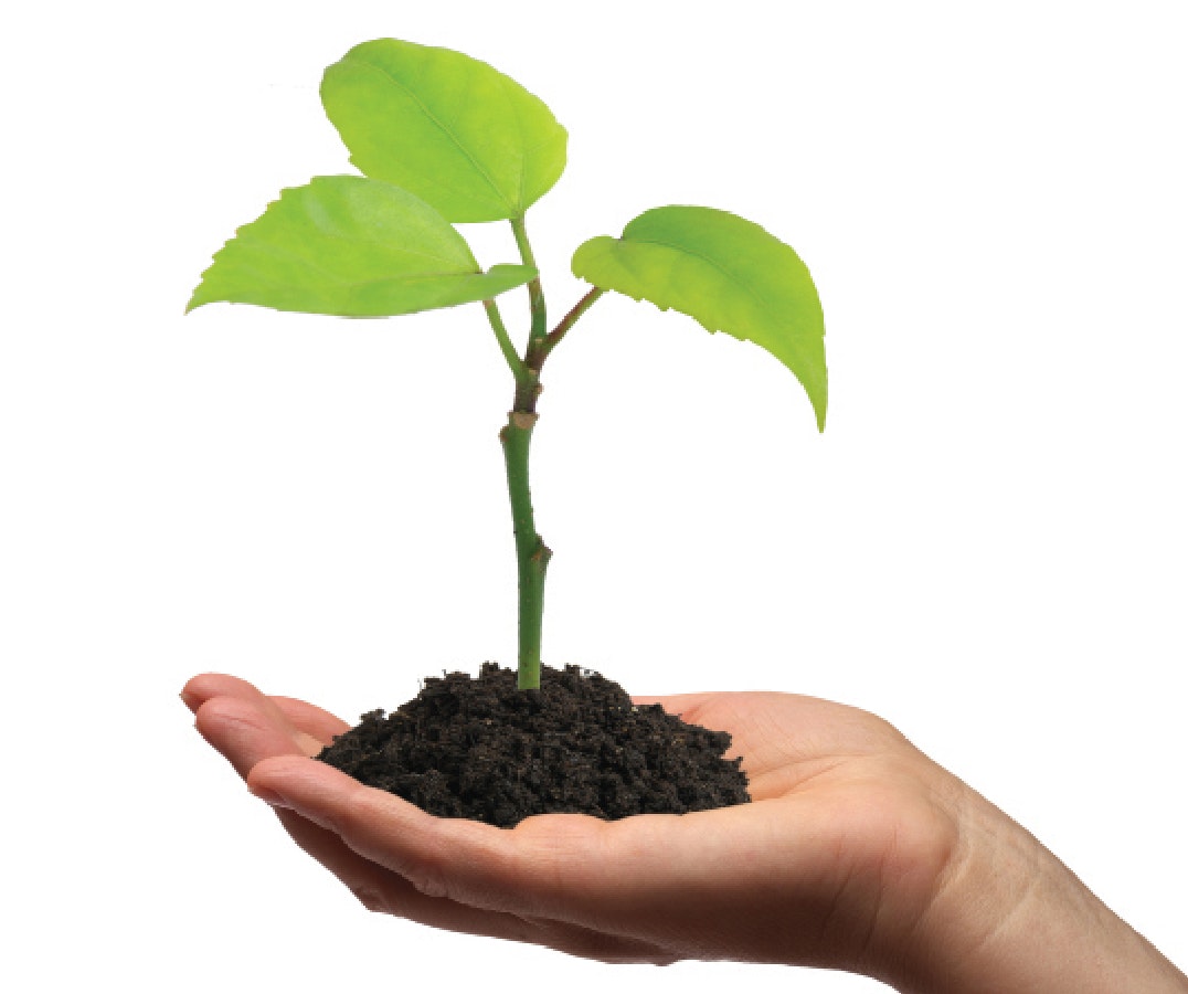 1652319386439 Green Stepsnewsworthy7