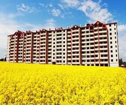 1652319504469 B 511 Summer Energy 1652319504469 B 511 Summer Energy