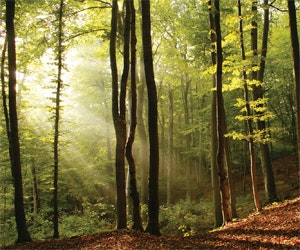 1652319732659 Newsworthy6