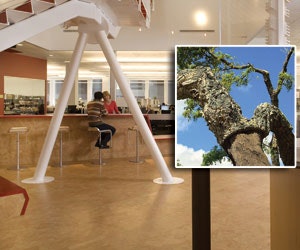 1652320410520 B 1210 Sb Interiors