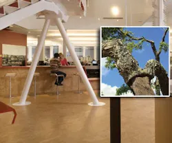 1652320410520 B 1210 Sb Interiors 1652320410520 B 1210 Sb Interiors