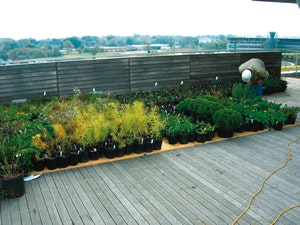 1652322668807 B 1008 Cs Tremco Clinton3