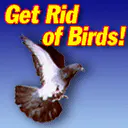 B_ATM1007_BirdX B_ATM1007_BirdX