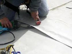 B_1107_RN_Fig4 B_1107_RN_Fig4