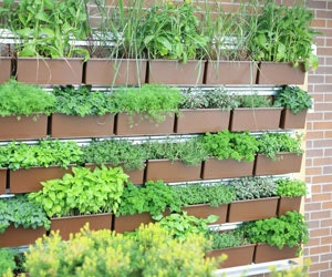 1652331122135 B 0712 Products Livewall