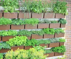 1652331122135 B 0712 Products Livewall 1652331122135 B 0712 Products Livewall