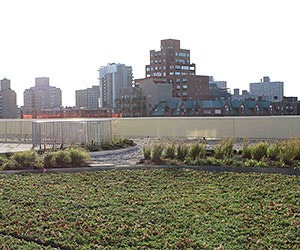 B_GF_92612_mgv_modular_roof_garden_carlisle