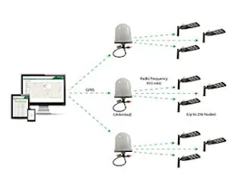 1652331968438 Leafnut915 300x250 1652331968438 Leafnut915 300x250