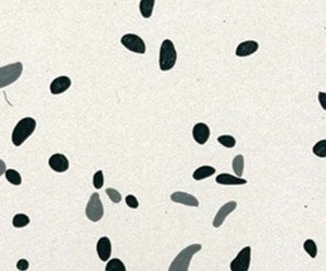 B_0814_Products_Architectural-Systems