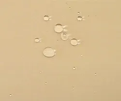 1652332971236 B 1114 Products Basf 1652332971236 B 1114 Products Basf