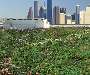 1652333521565 B 0915 Gaf