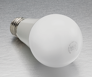 B_0915_Forest-Lighting