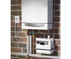 1652368234765 B 1215 Sfasaniflo