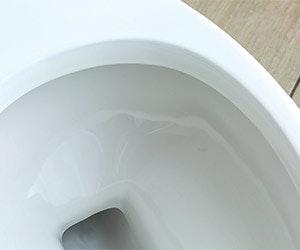 1652368933831 Sloan Sloantecglaze