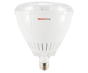 1652368986866 Foreverlamp