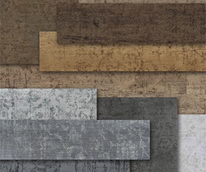 1652369382484 Metrofloraspectaoneornamental