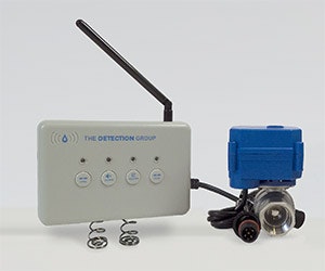 1652369531660 Thedetectiongroup