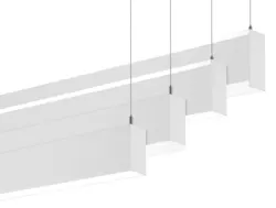 1652370446539 Seem2 1652370446539 Seem2