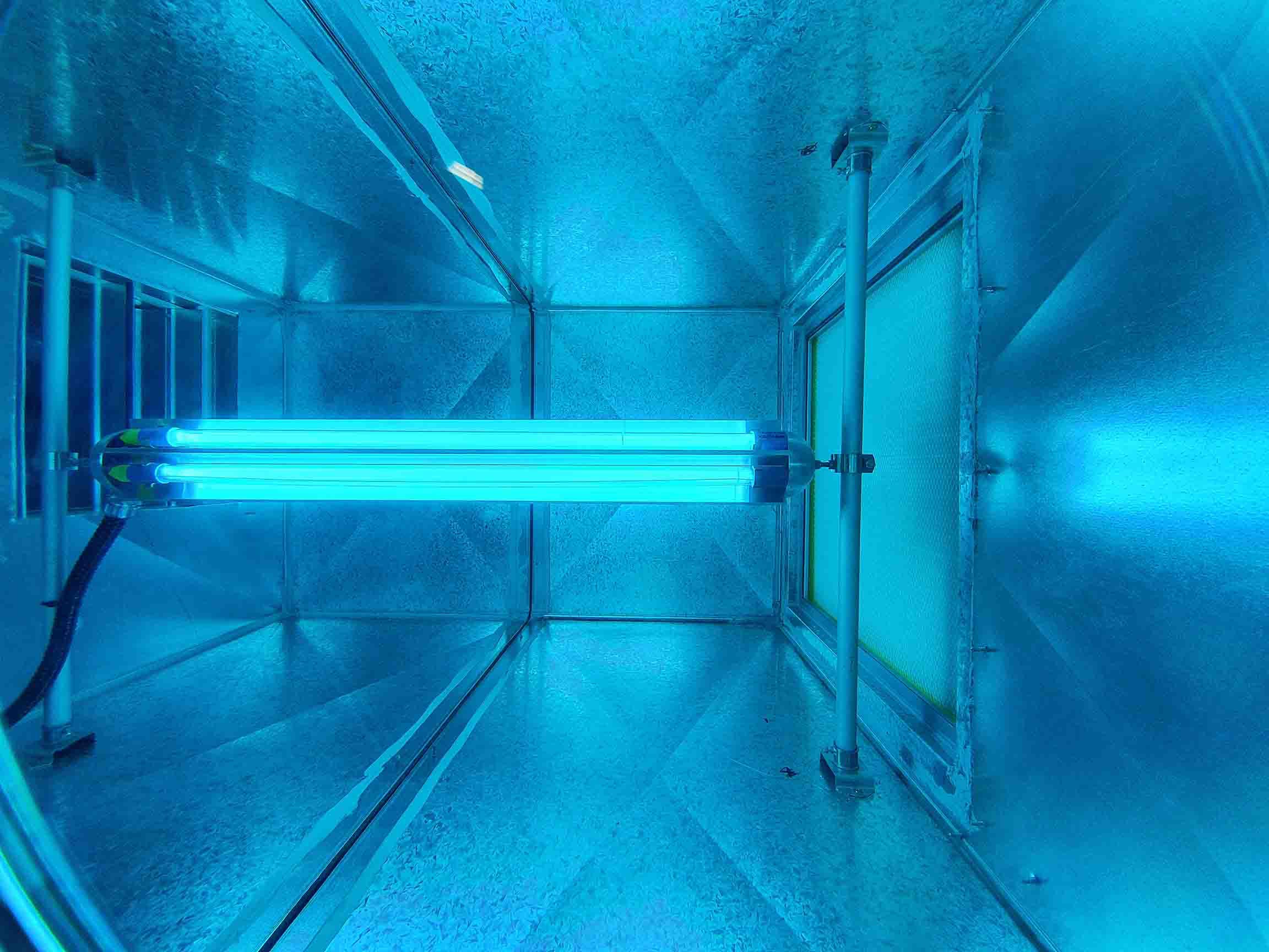 6581bf38a97d0e001e0d7252 1702941295 Biowall Installation