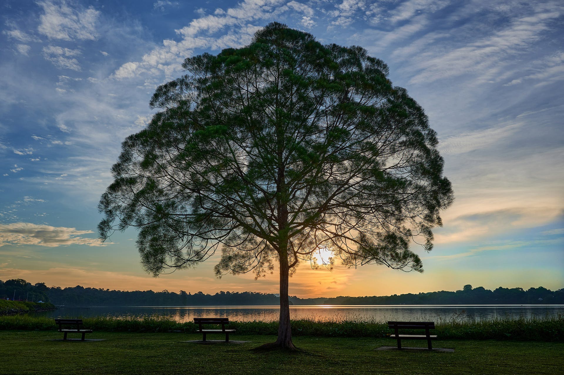 Johnson Controls 2023 Sustainability Report