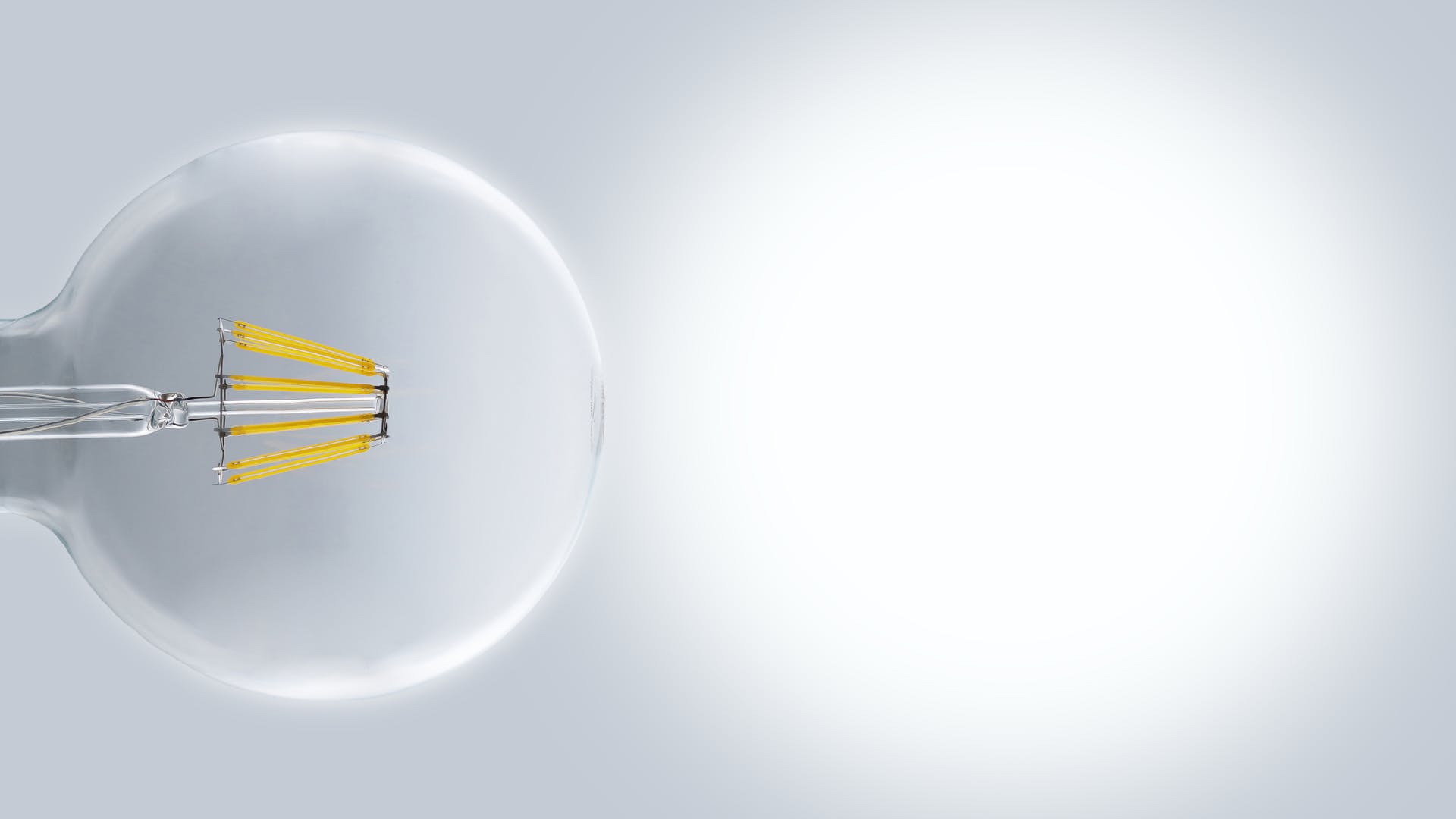 65a69bd7ff568d001e081357 Dreamstime Xxl 69575744 Hero