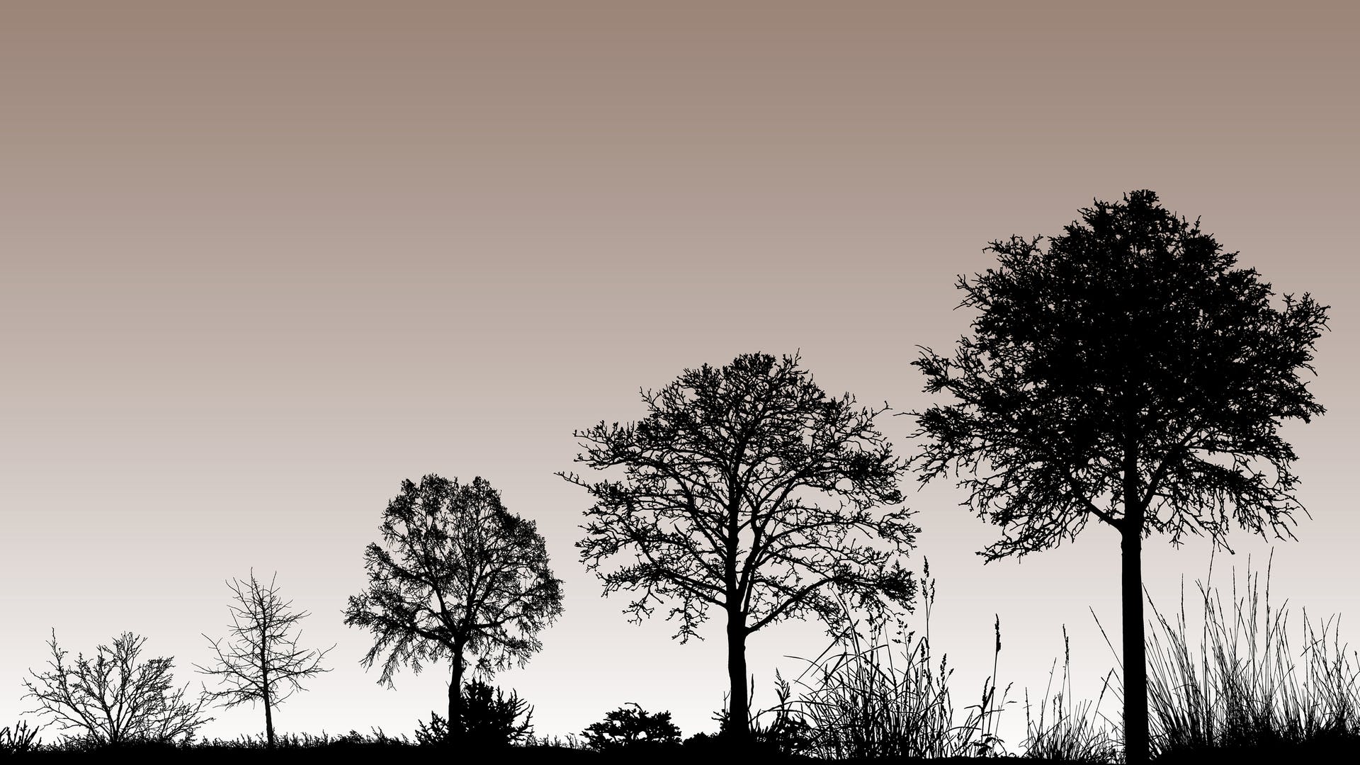 Dreamstime Xl 172656006 Hero